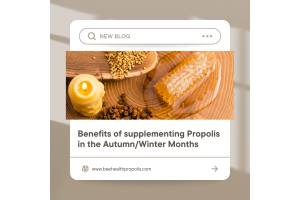 Benefits of taking propolis during the autumn and winter months