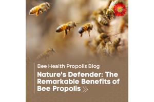 Nature's Defender: The Remarkable Benefits of Bee Propolis