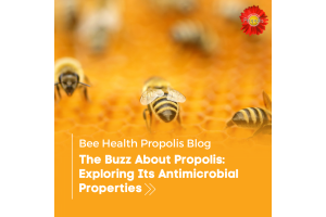 The Buzz About Propolis: Exploring Its Antimicrobial Properties