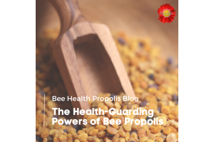 The Health-Guarding Powers of Bee Propolis