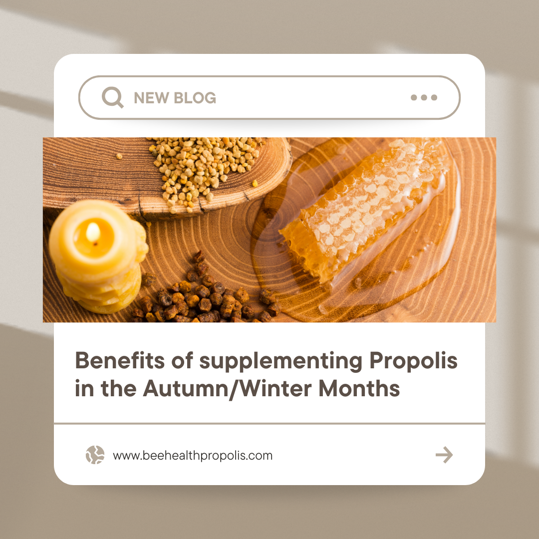 Benefits of taking propolis during the autumn and winter months