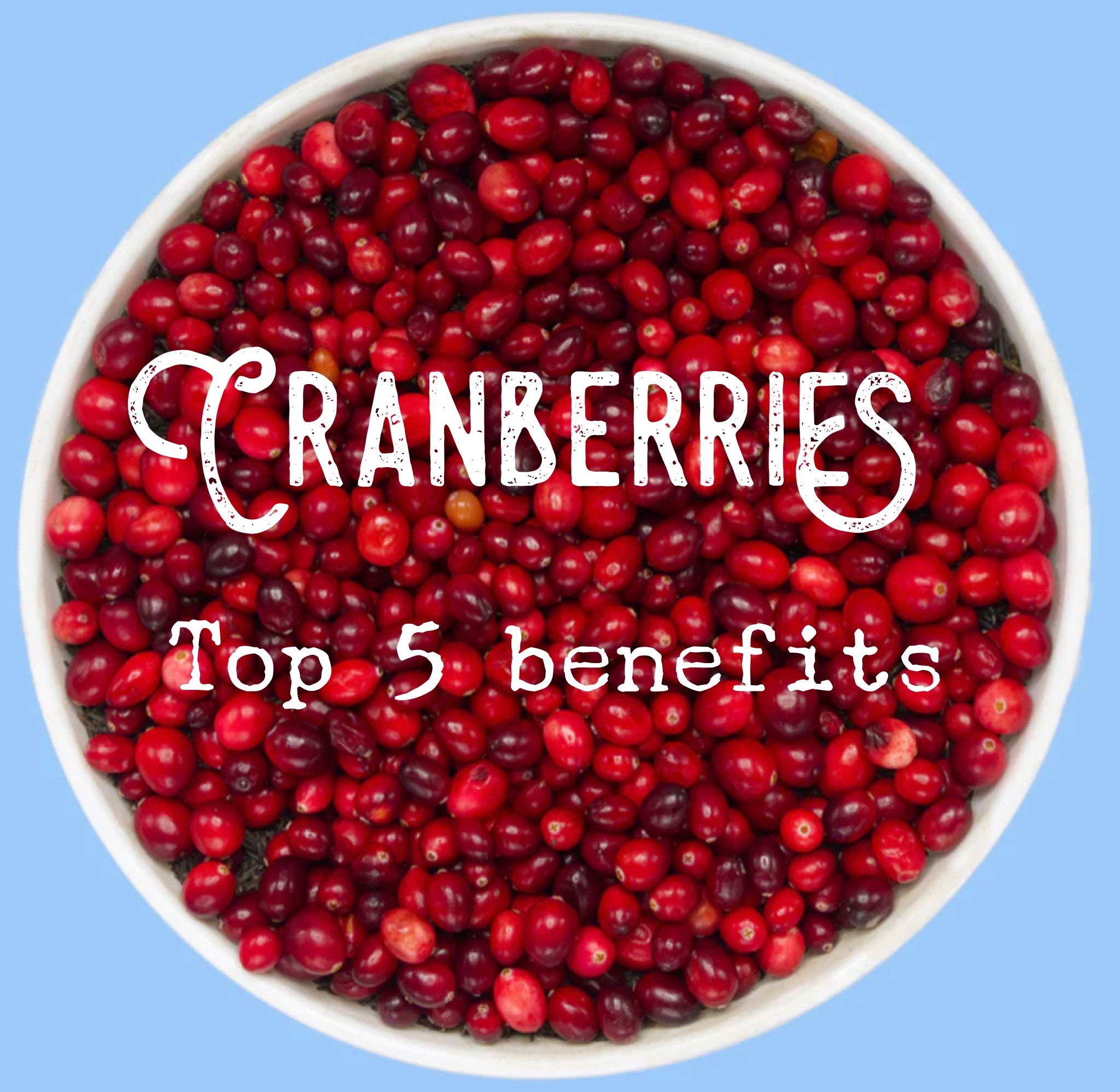 Cranberries - top 5 benefits of adding them to your diet