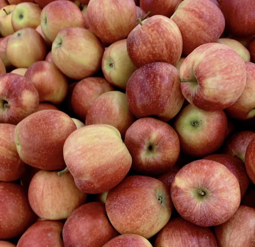 Weekly Tip - Top 5 benefits of eating an apple a day 