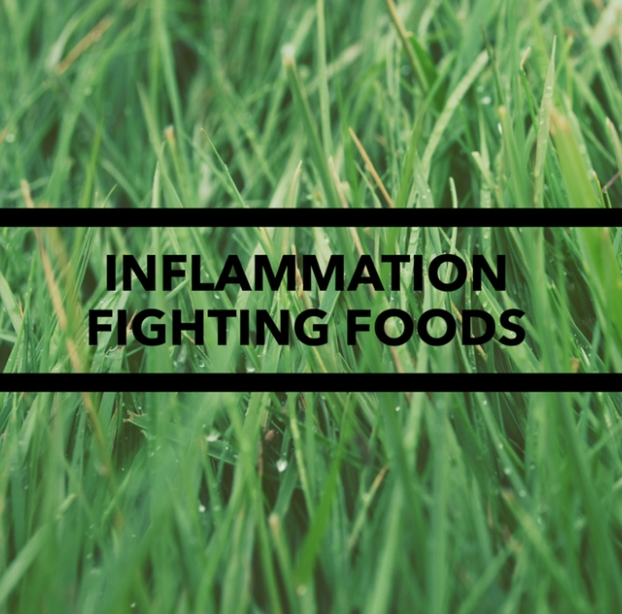 Weekly Tip - 16 inflammation fighting foods