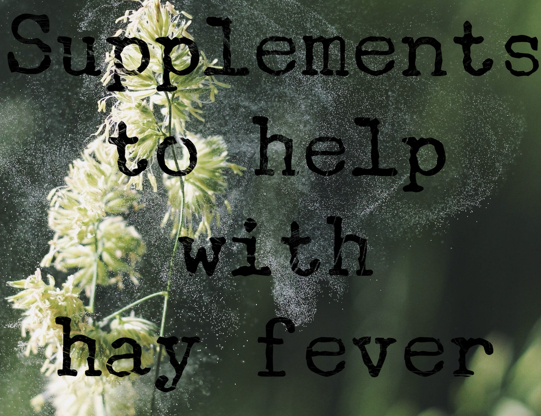 Weekly Tip - Supplements to help with hay fever